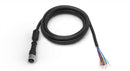 BANNER MODC2S-1230 Cables de Sensores y Actuadores Cordset A-Code M12 | Conector Hembra Recto de 12 Pines con Blindaje | 9 m de Longitud